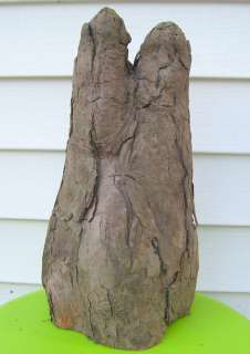 Cypress Knee   Natural Art Form   carving taxidermy crafting floral 10 