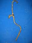   XR250R HONDA ENGINE MOTOR VENT DRAIN HOSE WITH TEE nice used condition
