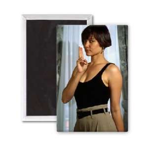  Carey Lowell   3x2 inch Fridge Magnet   large magnetic 