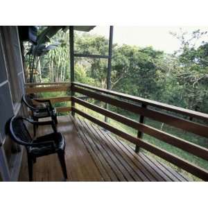  Decks in Forest, Las Cruces Biological Station, Wilson 