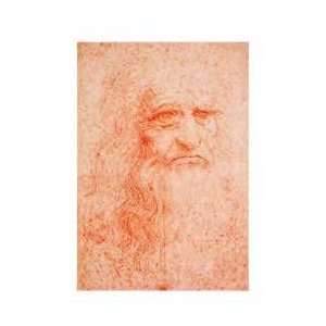  Leonardo Da Vinci   Self portrait