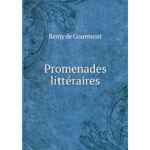  Promenades littÃ©raires Remy de Gourmont Books