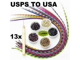 13 Colors 16 Synthetic Feather Hair Extension Kit Hook with free 