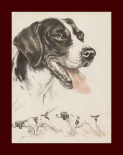 Pointer Dog Portrait by Diana Thorne, vintage color print 1944  