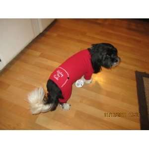  Dog Christmas Waiting for Santa Embroidered Red Flannel 