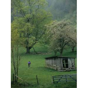 Cyclist Rides Past an Old Barn and Fruit Trees in a Spring 