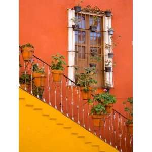  Colorful Stairs and House with Potted Plants, Guanajuato 