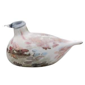  iittala 2008 Annual Bird, Cucunor