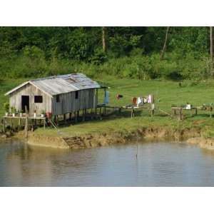 Wooden House with Plants and a Garden in the Breves Narrows in the 