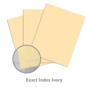  Exact Index Ivory Paper   250/Package