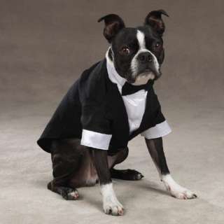 Yappily Ever After Bride & Groom Dog Apparel & Toys  