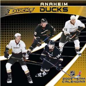  Anaheim Ducks NHL 12 x 12 Team Wall Calendar Sports 