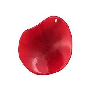  Tagua Nut Red Potato Chip 30 37x37 47mm Charms Arts 