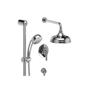   Shower with Diverter and Stops, Hand Shower Rail, and Shower Head