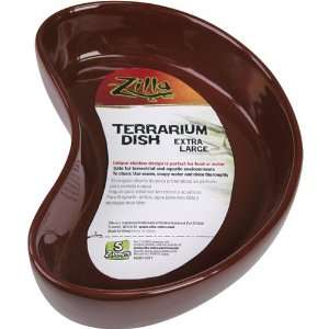  RZilla 11671 7 1/2 Inch Terrarium Dish